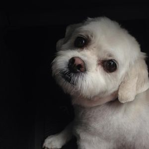 Meet your Posher, Melanie